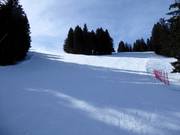 Facili piste forestali al Chuenisbärgli ad Adelboden