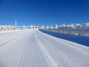 Anche la pista da slittino viene preparata molto bene.