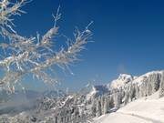 Stazione a monte Brauneck