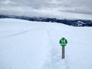 Pista Panorama facile