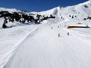 Pista Tschuggen-Arven