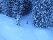Pista da fondo in der Lenzerheide