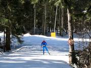 Pista da fondo a Borovets