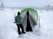 Sul tappeto mobile si aiutano i principianti