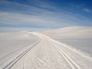 Pista da fondo allo Skeikampen a 1123 m