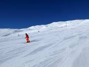 Numerose piste larghe sotto Fil