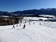 Facile area di esercitazione a valle presso gli impianti Dorf- e Hörnilift