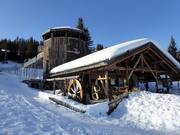 Suggerimento per i più piccoli 