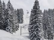 Vores - Skilift a piattello