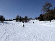 Pista facile presso lo skilift Hochsonnlift