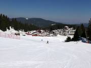 Pista 6 Ski road Pamporovo (Tourist)