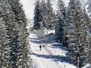 Klämmli - Skilift con T-bar/ancora