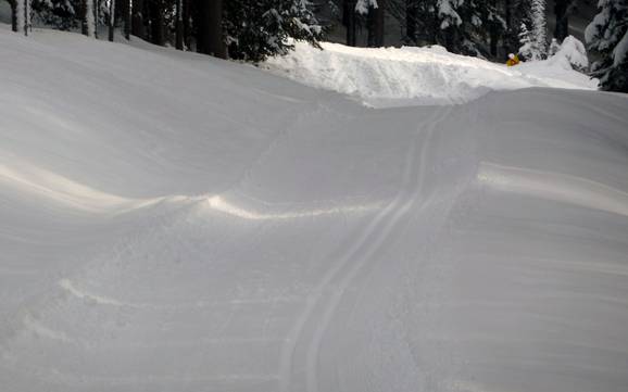 Sci di fondo Silberregion Karwendel – Sci di fondo Kellerjoch - Schwaz
