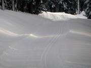 Pista da fondo al Grafenast