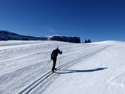 Sci di fondo sull'Alpe di Siusi