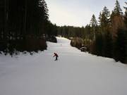 Discesa per famiglie