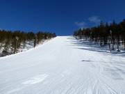 Discesa Coppa del Mondo G.2