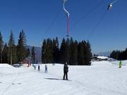 Rimmlermoos 1 C2 - Skilift a piattello