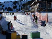 Tiny Tiger Carpet - Tapis roulant/Tappeto Magico