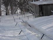 Sciovia Kreuzmöslberg