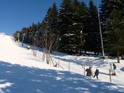 Bühlertallift 2 - Skilift con T-bar/ancora