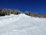 Pista nera Sergerwiese