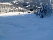 Pista di gobbe sotto la seggiovia Nordhang