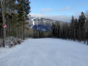 Discesa di media difficoltà Zwieselberg Family