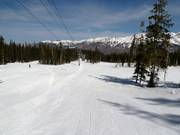 Ampio campo principianti presso Ute Park