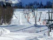 Mikkeline - Skilift a piattello