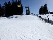 Pendio per esercitazioni nel Kinderland con tappeto mobile