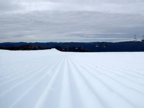 Preparazione delle piste Alpi Australiane – Preparazione delle piste Mt. Buller