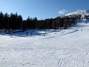 Pista pratica con tappeto roulant