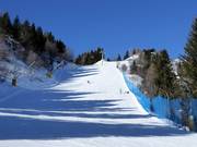 Pista Zoncolan 3 - Alta