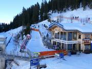 Suggerimento per i più piccoli 