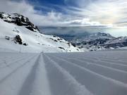 Perfettamente preparato!