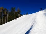 Breve tratto nero Ried