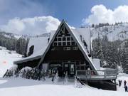 Suggerimento su ristorazione Molly Greens