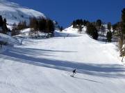 Discese tra i boschi nella parte inferiore dello Zehnerkar