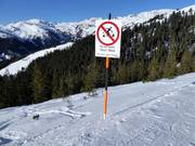 Protezione della foresta