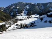 Arena pratica Ziglau n. 9/10