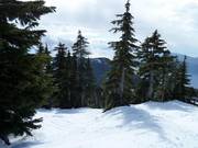 Discesa difficile nel bosco