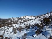 Pendii freeride e di neve fresca nella parte superiore di Thredbo