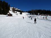 Pista di esercitazione Arnouva con tappeto roulant