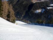 Discesa a valle "Michl"