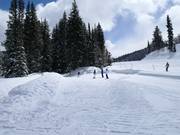 Tappeto magico Solitude