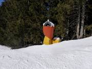 Impianti di innevamento mobili nell’area sciistica