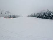 Discesa Antelao Cino Menegus