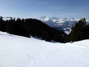 Pista Schwendi con panorama