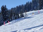 Tracciato di misurazione della velocità: Hexenschuss presso Siller-Keat a Söll